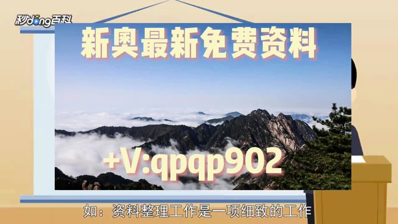 2024新澳正版免费资料大全个,全面执行数据设计_yShop81.958